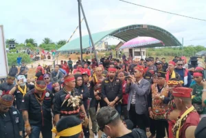 Tekanan Publik Bikin Perkebunan Sawit Tak Berkutik, PT HAL Bayar Denda Adat Rp259 Juta