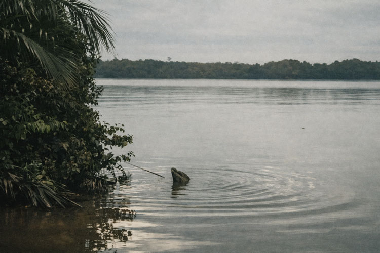 Sungai yang Dihidupi Warga, Kini Dihuni Ancaman