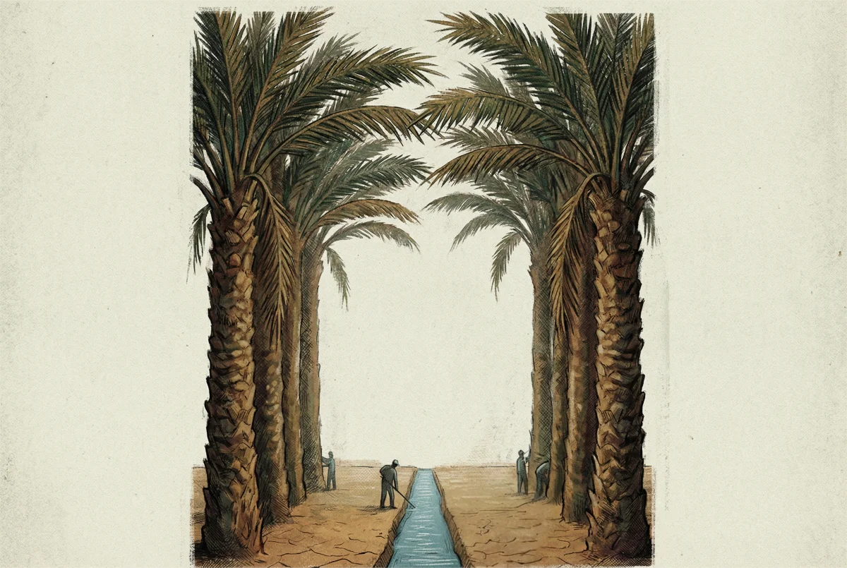 Editorial: Irigasi Danau Lentang, Uang Rakyat yang Terkepung Sawit dan Dalih Plasma