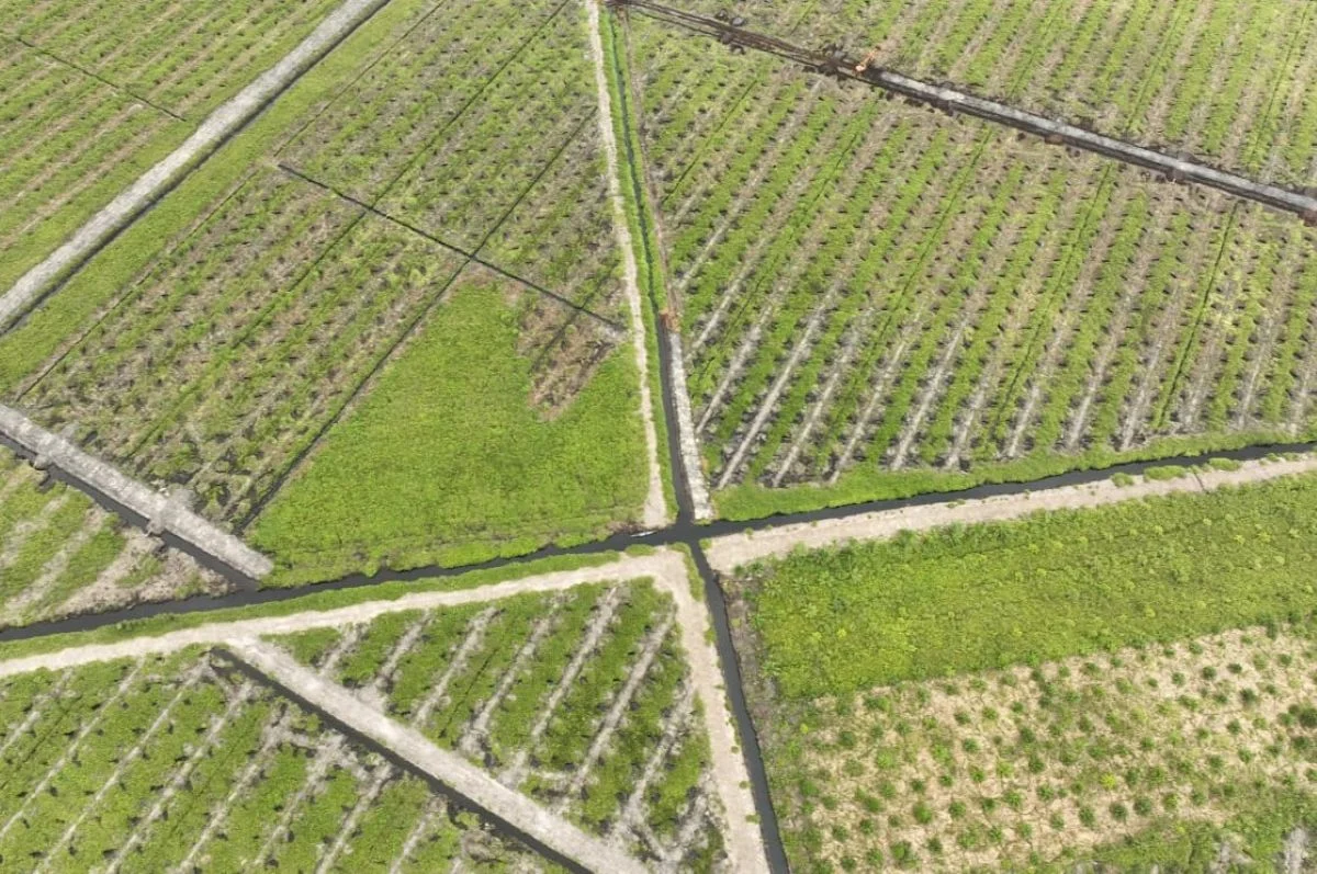 Sejarah Konflik Irigasi Danau Lentang di Kotim: Dugaan Tumpang Tindih HGU, Aset Negara Terimpit Ekspansi Sawit