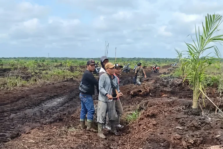 Koperasi Bantah Kebun Plasma di Titik Sengketa Irigasi Danau Lentang