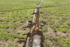 Irigasi Negara Dikepung Sawit, Bupati Kotim Didesak Audit Total Izin Sawit di Danau Lentang