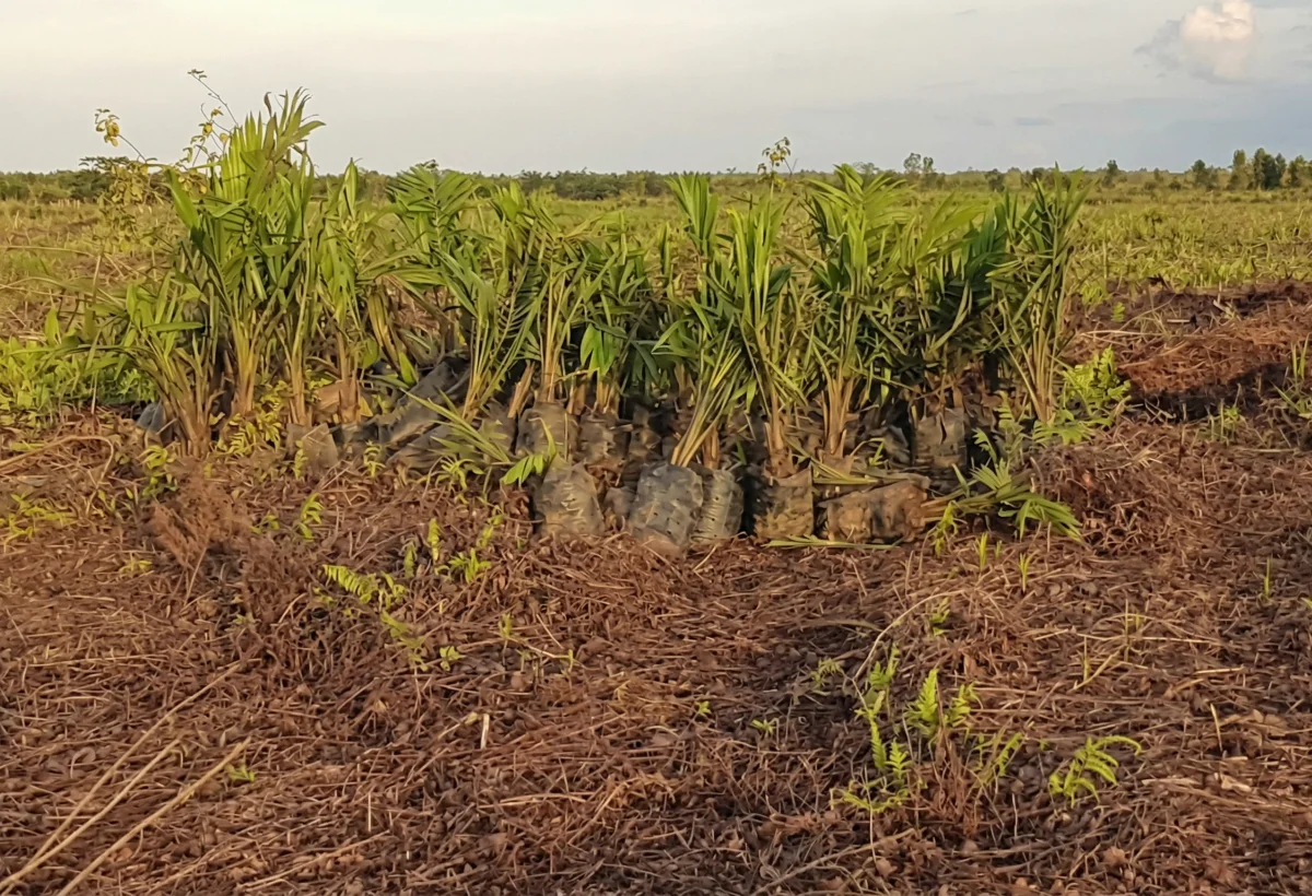Warga ”Dipaksa” Berjuang Sendirian, Potensi Bentrok di Irigasi Danau Lentang Kian Membesar