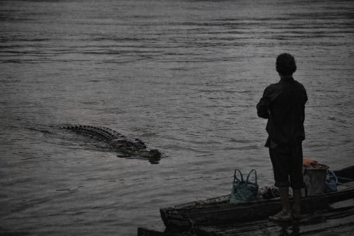 Buaya Muncul di Sungai Tabuk, Warga Kota Besi Hulu Diminta Waspada
