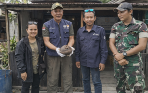 Terpisah dari Induk, Tenggiling Betina Dilepasliarkan di Kawasan Restorasi