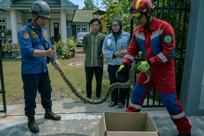 Kardus Tanpa Pemilik di Depan Rumah Warga Sampit, di Tengah Maraknya Evakuasi Ular oleh Damkar Kotim