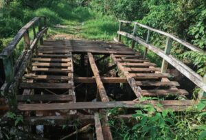 Kayu Jembatan Akses Kebun di Cempaka Mulia Barat Dicuri Maling, Warga Kehilangan Penghubung Hidup