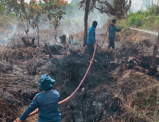 Kebakaran Lahan Terjadi Lagi di Sampit