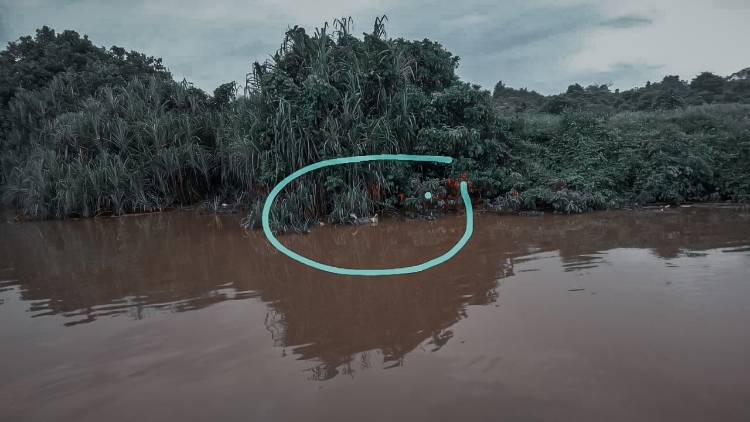 Dua Hari Hilang di Mentaya, Tubuh Syahrir Ditemukan Mengapung di Terantang