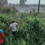 Saat Perayaan Usai, Ancaman Lama Kembali Menyala