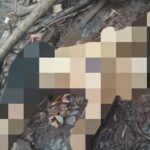 Mayat Tanpa Identitas Ditemukan di Sungai Mentaya, Dikaitkan dengan Kebakaran Dermaga