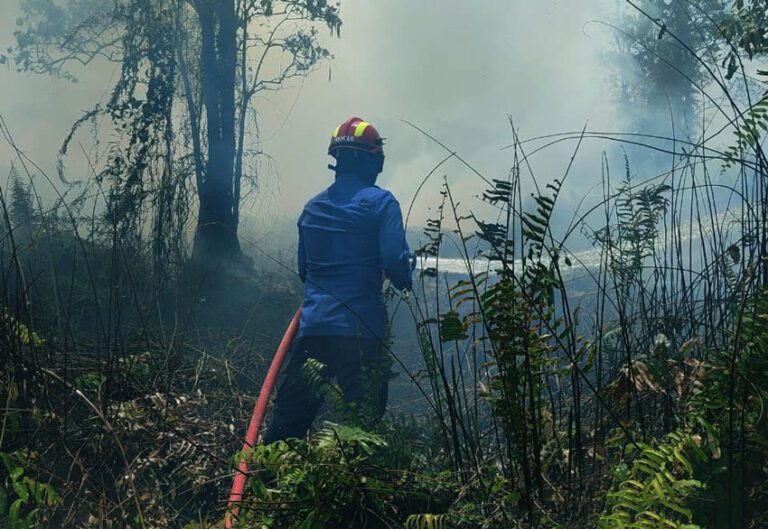 Cuaca Kering Menyusup di Musim Hujan, Kebakaran Lahan Mulai Menggila