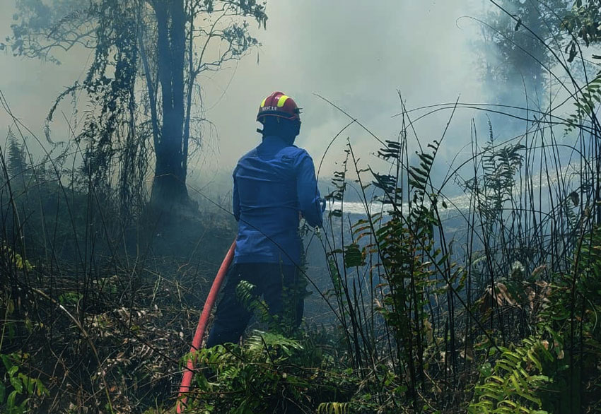 Cuaca Kering Menyusup di Musim Hujan, Kebakaran Lahan Mulai Menggila