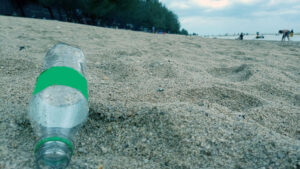 Pantai yang Dicintai, Tapi Tak Dijaga, Kisah Lebaran di Ujung Pandaran