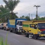 Pukulan Ganda Menghantam Sopir Truk Sampit: Beban Ekonomi Kian Mencekik