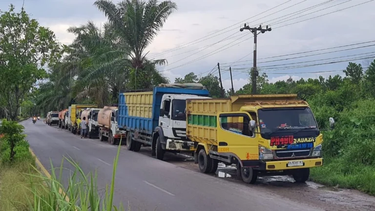 Pukulan Ganda Menghantam Sopir Truk Sampit: Beban Ekonomi Kian Mencekik