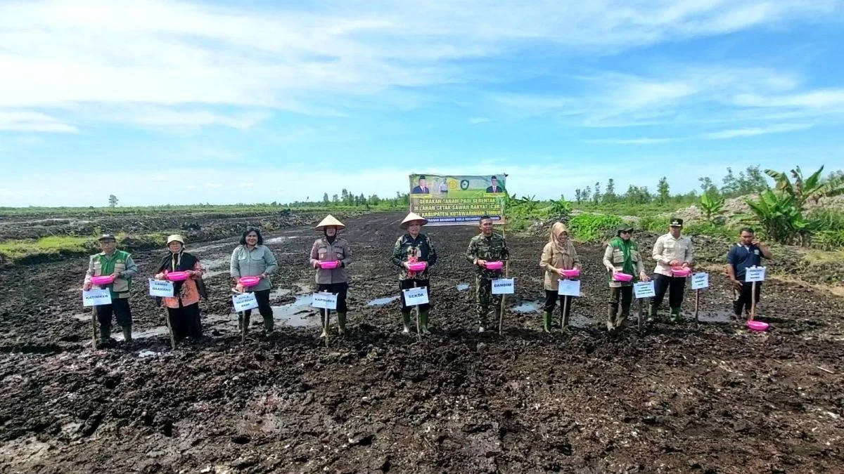 Tanam 284 Hektare Dikebut, Realisasi Cetak Sawah Kotim Masih 31 Persen
