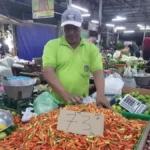 Harga Cabai Rawit Mulai Turun, Sayur Lokal dan Bawang Merah Kembali Naik