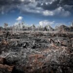 Kotim Siaga Dini, Dari Pancaroba ke Kemarau Panjang, Ancaman Karhutla Mengintai