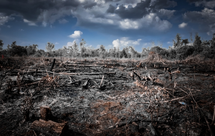 Kotim Siaga Dini, Dari Pancaroba ke Kemarau Panjang, Ancaman Karhutla Mengintai
