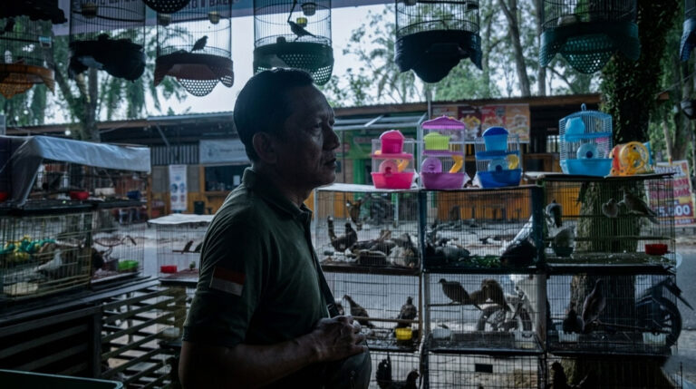 Kios Burung Menjamur, BKSDA Klaim Aman: Benarkah Tak Ada Satwa Dilindungi yang “Terselip”? 