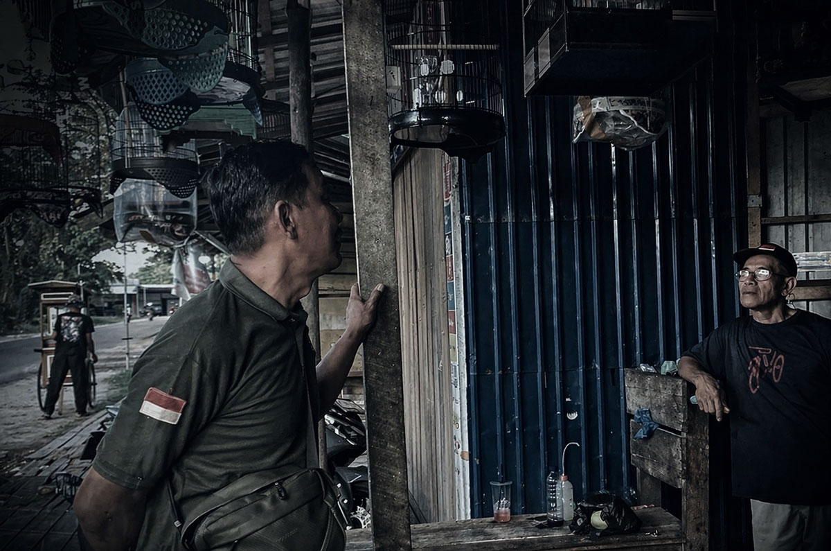 BKSDA Sampit Ungkap Fakta: Banyak Satwa Populer Ternyata Dilindungi