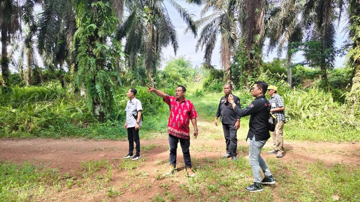 Tangan Kosong dan Todongan Senjata: Jejak Penetapan Tersangka Petrus Limbas di Sebabi