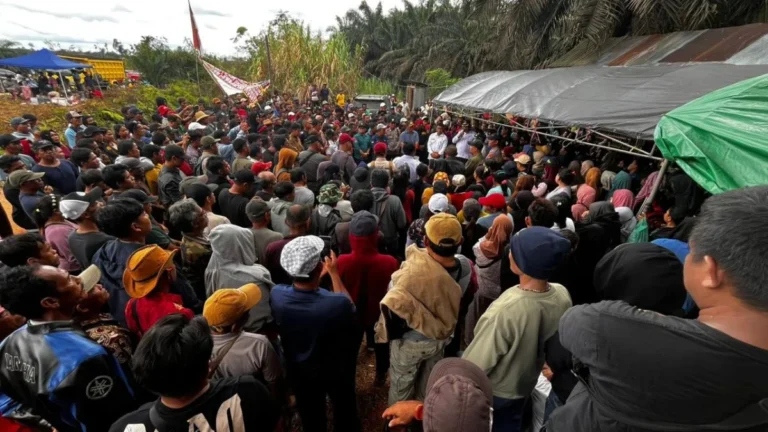 Janji Plasma di Sebabi: Gugatan Rp100 Miliar untuk Damang dan Jejak Bermasalah Perizinan