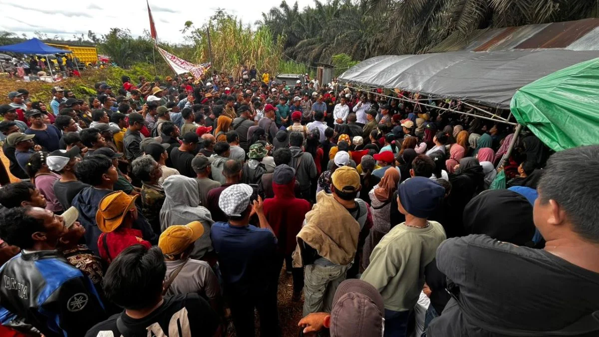 Janji Plasma di Sebabi: Gugatan Rp100 Miliar untuk Damang dan Jejak Bermasalah Perizinan