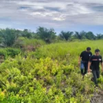 Polisi Merekam Sisa Lindasan: Babak Pembuktian Hukum di Irigasi Danau Lentang