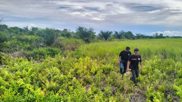 Polisi Merekam Sisa Lindasan: Babak Pembuktian Hukum di Irigasi Danau Lentang
