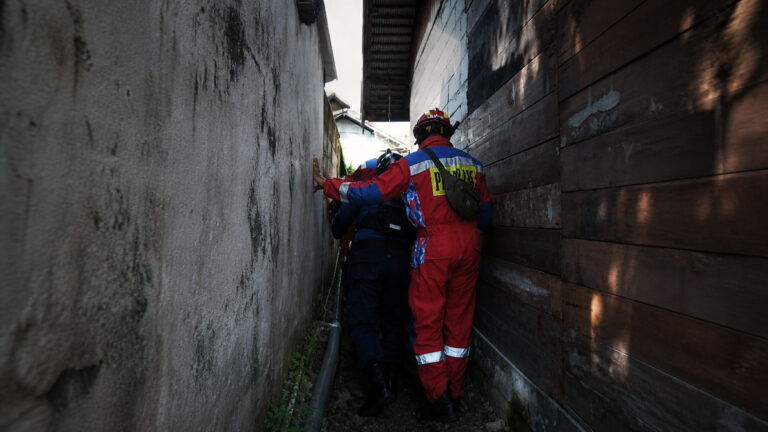 Maut yang Bersembunyi: Detik-Detik Penaklukan King Kobra di Samping Rumah Warga Sampit