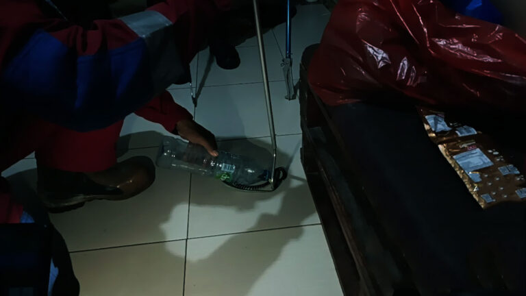 Teror King Kobra di Bumi Raya III: Anak Ular Berbisa Mematikan Menyusup ke Meja Dapur Warga Baamang