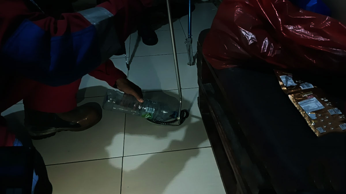 Teror King Kobra di Bumi Raya III: Anak Ular Berbisa Mematikan Menyusup ke Meja Dapur Warga Baamang