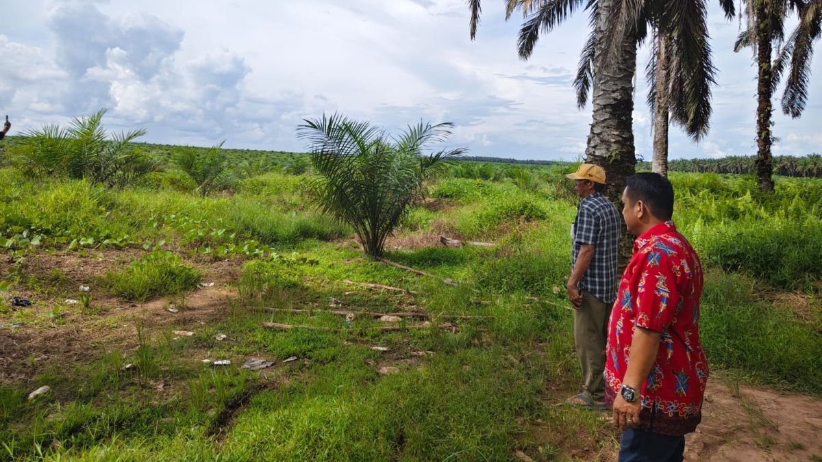 Menguak Sengketa Sebabi: Siasat Mengamankan Jantung Bisnis dan Hamparan Kosong di Portal Negara