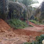 Jejak Parit di Lahan Ringowati: Digali Tim Lapangan Agrinas, Diingkari Mitra KSO