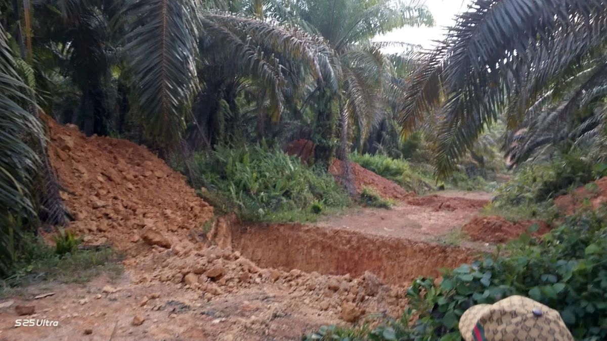 Jejak Parit di Lahan Ringowati: Digali Tim Lapangan Agrinas, Diingkari Mitra KSO