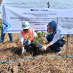 Peringati Hari Lingkungan Hidup Sedunia, Pelindo dan Pelni Lakukan Aksi Penanaman Pohon di Pelabuhan Bagendang