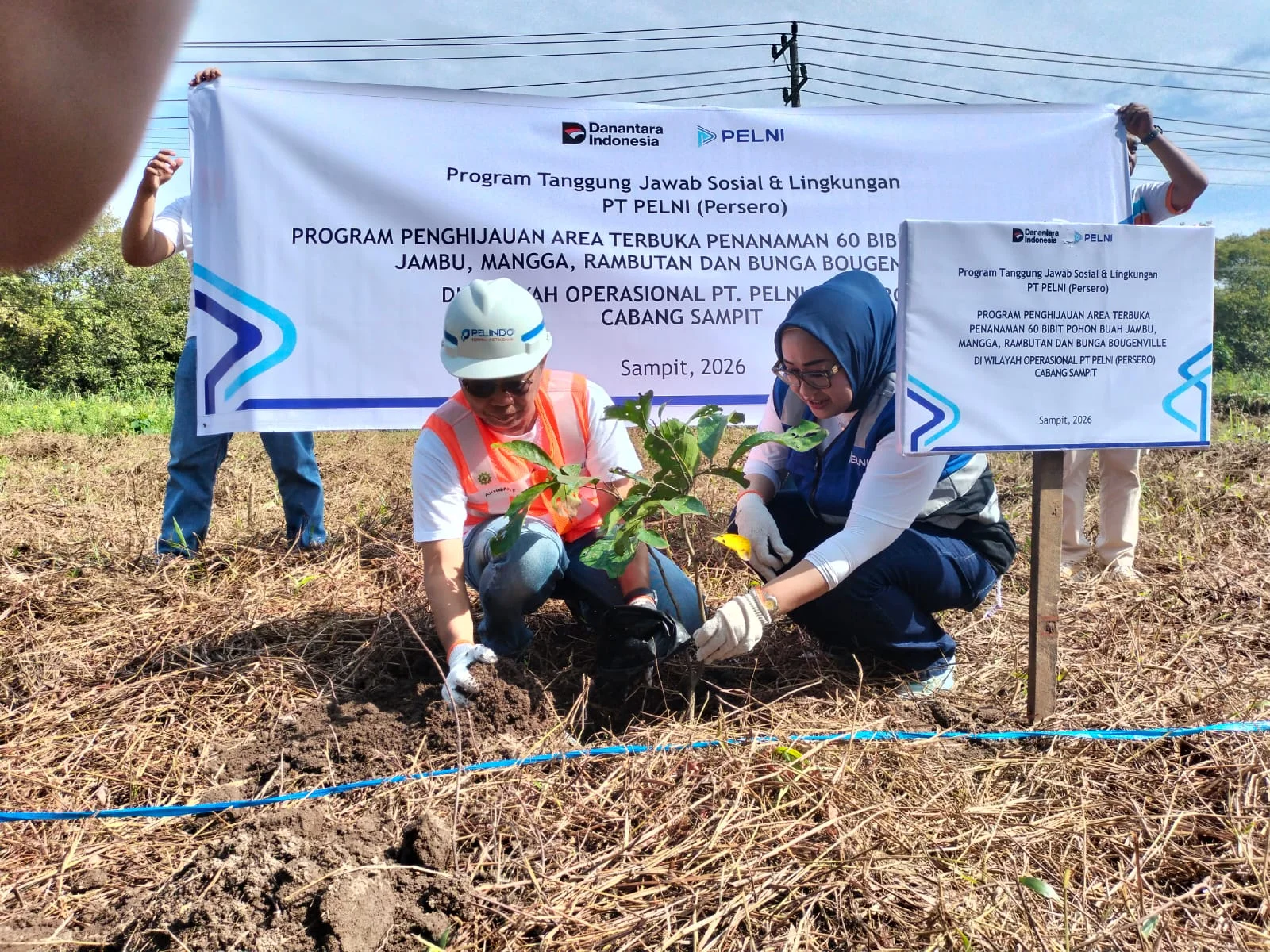 Peringati Hari Lingkungan Hidup Sedunia, Pelindo dan Pelni Lakukan Aksi Penanaman Pohon di Pelabuhan Bagendang