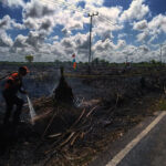 Siasat Hitam Pengembang Properti Sengaja Panggang Satu Hektare Gambut Baamang Barat Demi Land Clearing Murah