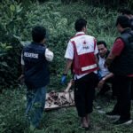 Sinyal Darurat Deforestasi Baamang: Di Balik Misteri Kerangka ‘Pongo Pygmaeus’ di Jalur Pemukiman Warga
