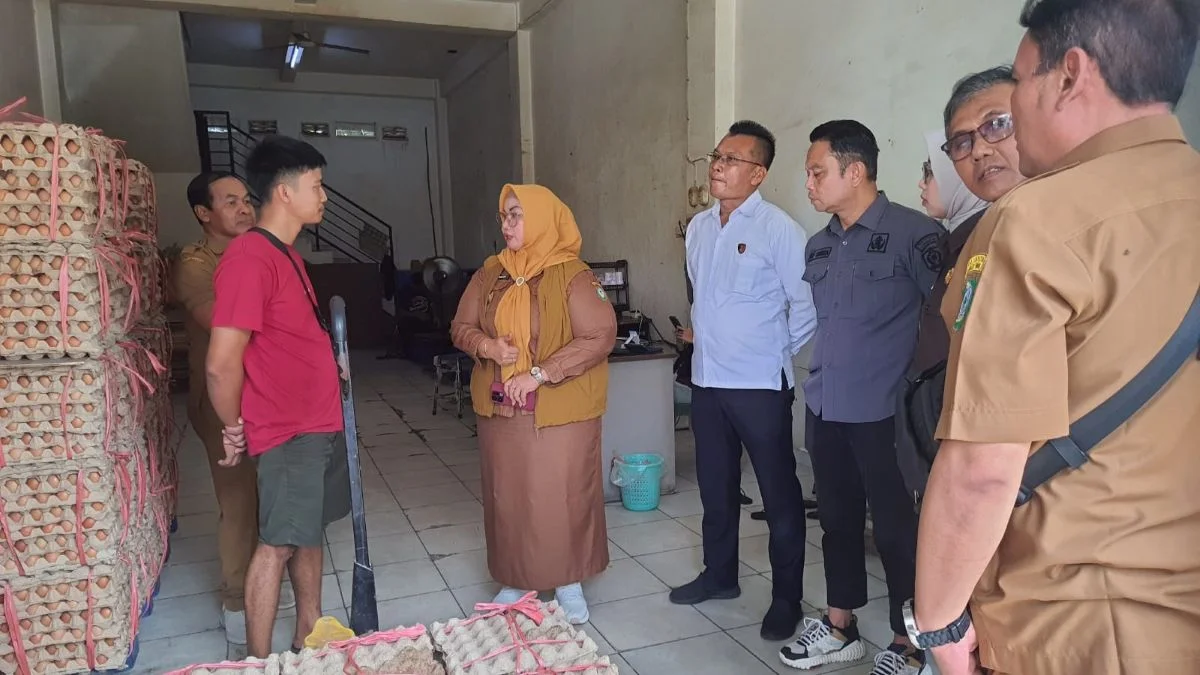 Selisih Harga Telur di Sampit Capai Rp50 Ribu: Peternak Lokal Merugi, Konsumen Tetap Beli Mahal