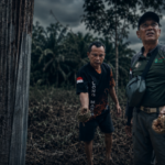 BKSDA Pasang Kandang Jebak Bermuatan Madu, Deteksi Jejak Cakar Beruang di Pekarangan Sungai Paring