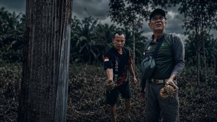 BKSDA Pasang Kandang Jebak Bermuatan Madu, Deteksi Jejak Cakar Beruang di Pekarangan Sungai Paring