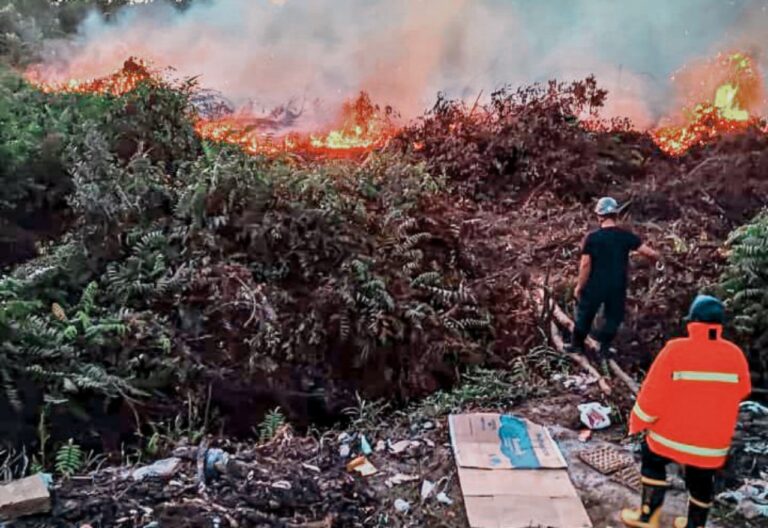 Pembakar Lahan Makin Bebal: Lahan Belakang Kompleks Perumahan Tidar Dibakar