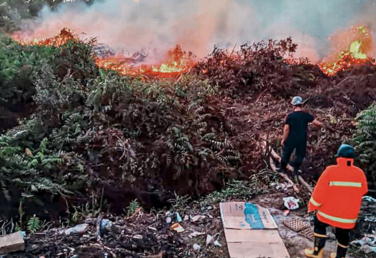 Pembakar Lahan Makin Bebal: Lahan Belakang Kompleks Perumahan Tidar Dibakar