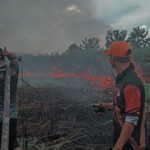 Pulau Hanaut Jadi Anomali Karhutla Kotim, Satu Hotspot Picu Lahan Terbakar Terluas
