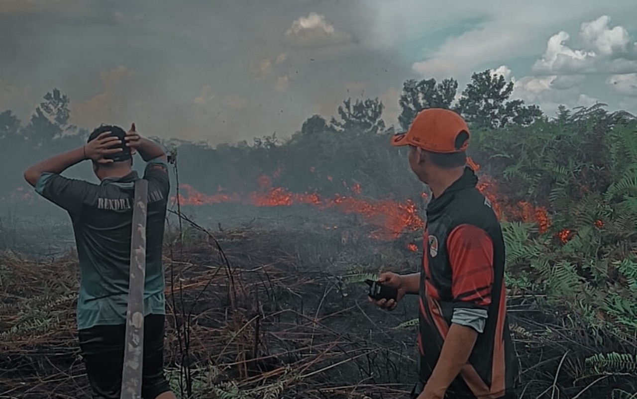 Pulau Hanaut Jadi Anomali Karhutla Kotim, Satu Hotspot Picu Lahan Terbakar Terluas