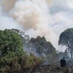 Kabut Asap Kian Pekat, Hotspot di Kotim Tembus 372 Titik, BPBD Wanti-Wanti Kemarau Masih Empat Bulan Lagi