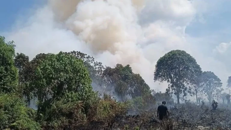 Kabut Asap Kian Pekat, Hotspot di Kotim Tembus 372 Titik, BPBD Wanti-Wanti Kemarau Masih Empat Bulan Lagi